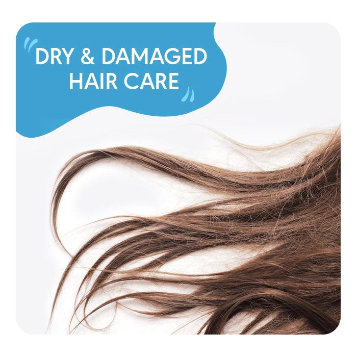 Dry & Damaged Hair Care